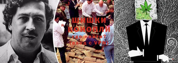 дурь Лагань
