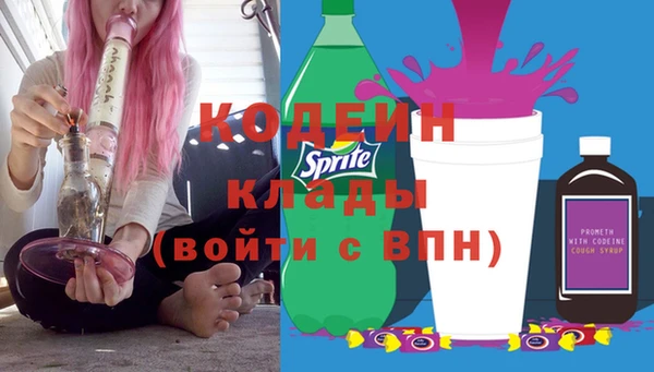 индика Кукмор